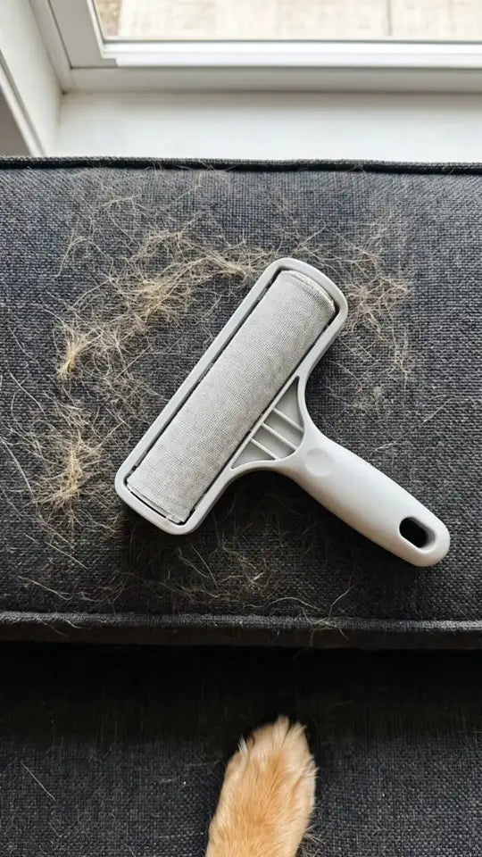 Sample video, AI-generated: Pet hair remover
